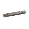 2" x T40 Standard Torx  Industrial Screwdriver Bit Recyclable 